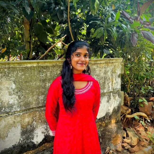 Freelance Digital marketing strategist in mannarkkad
